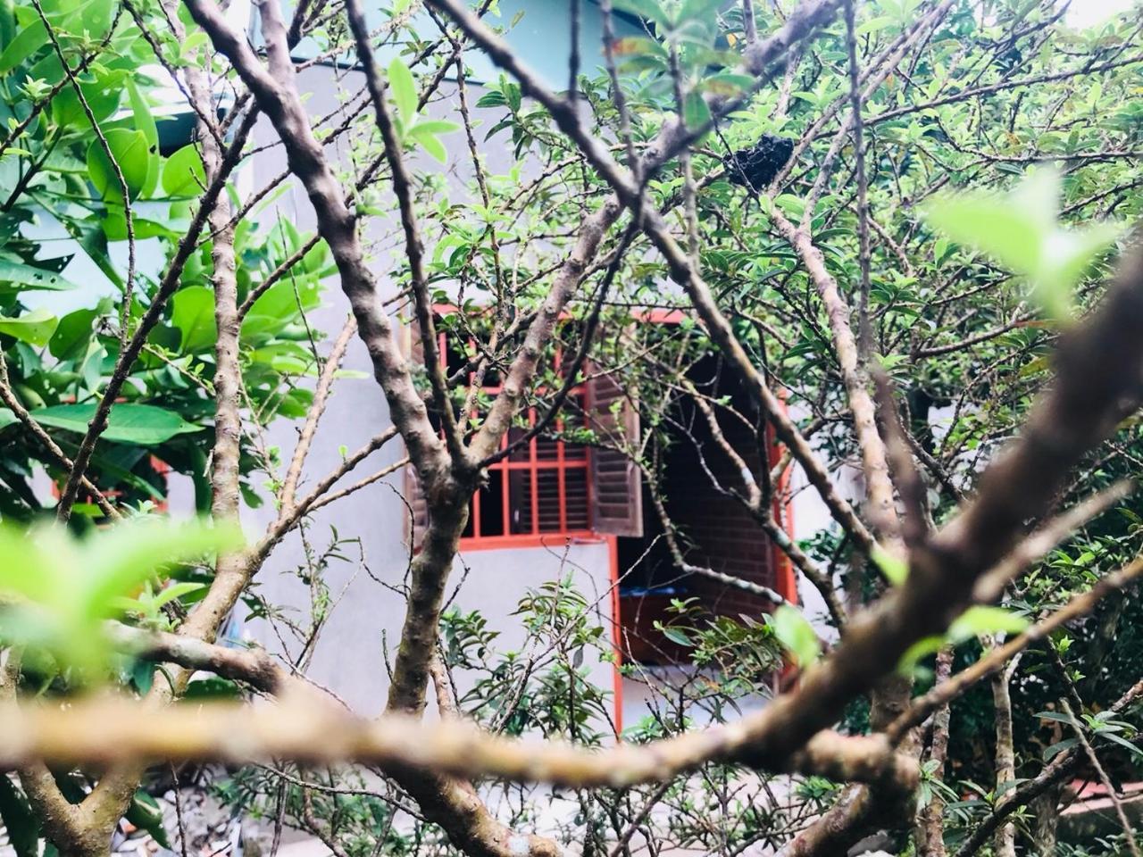 Appartement Mekong Rustic Cái Bè Extérieur photo